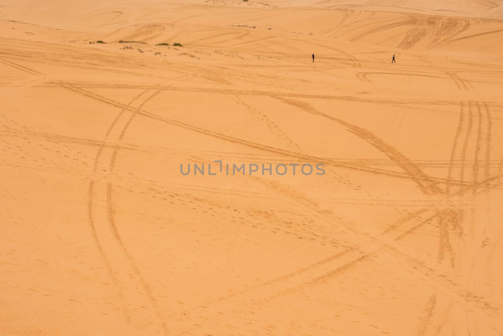 Yellow sand dunes in Mui Ne is a popular tourist destination of Vietnam