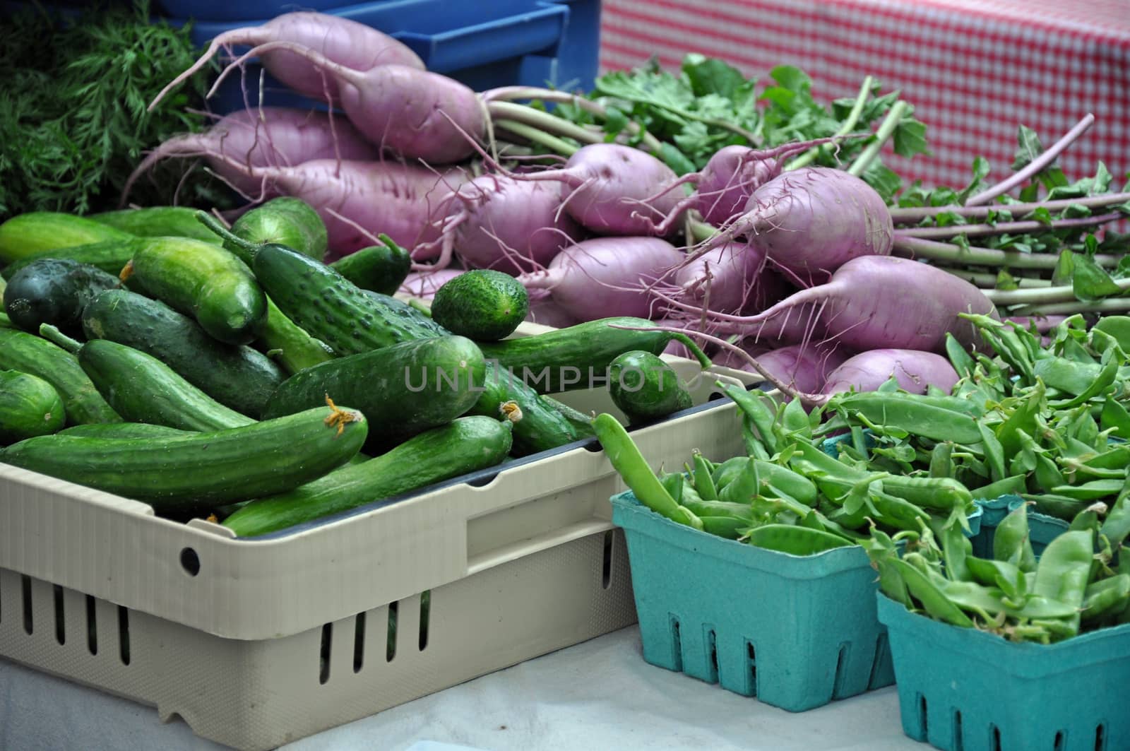 Fresh organic vegetables by ingperl