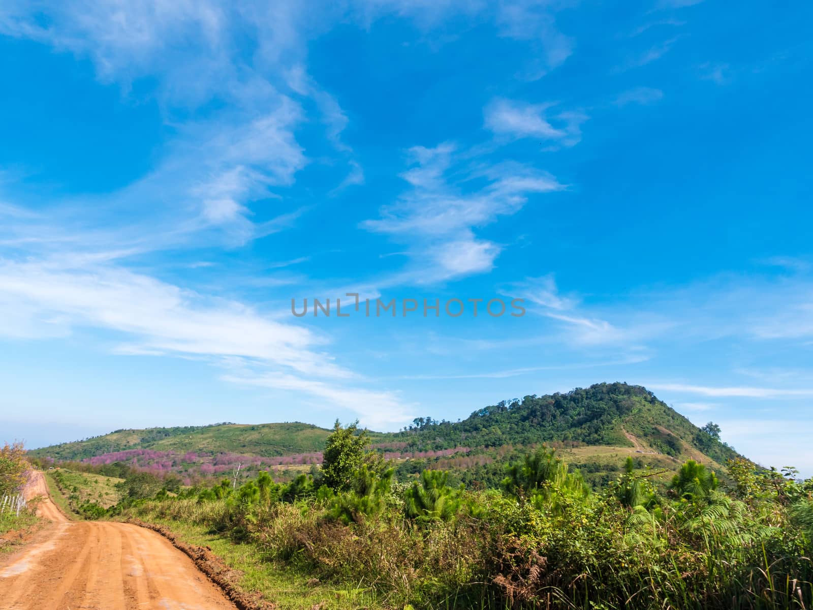 Beautiful landscape with country road, mountains and blue sky. Travel concept