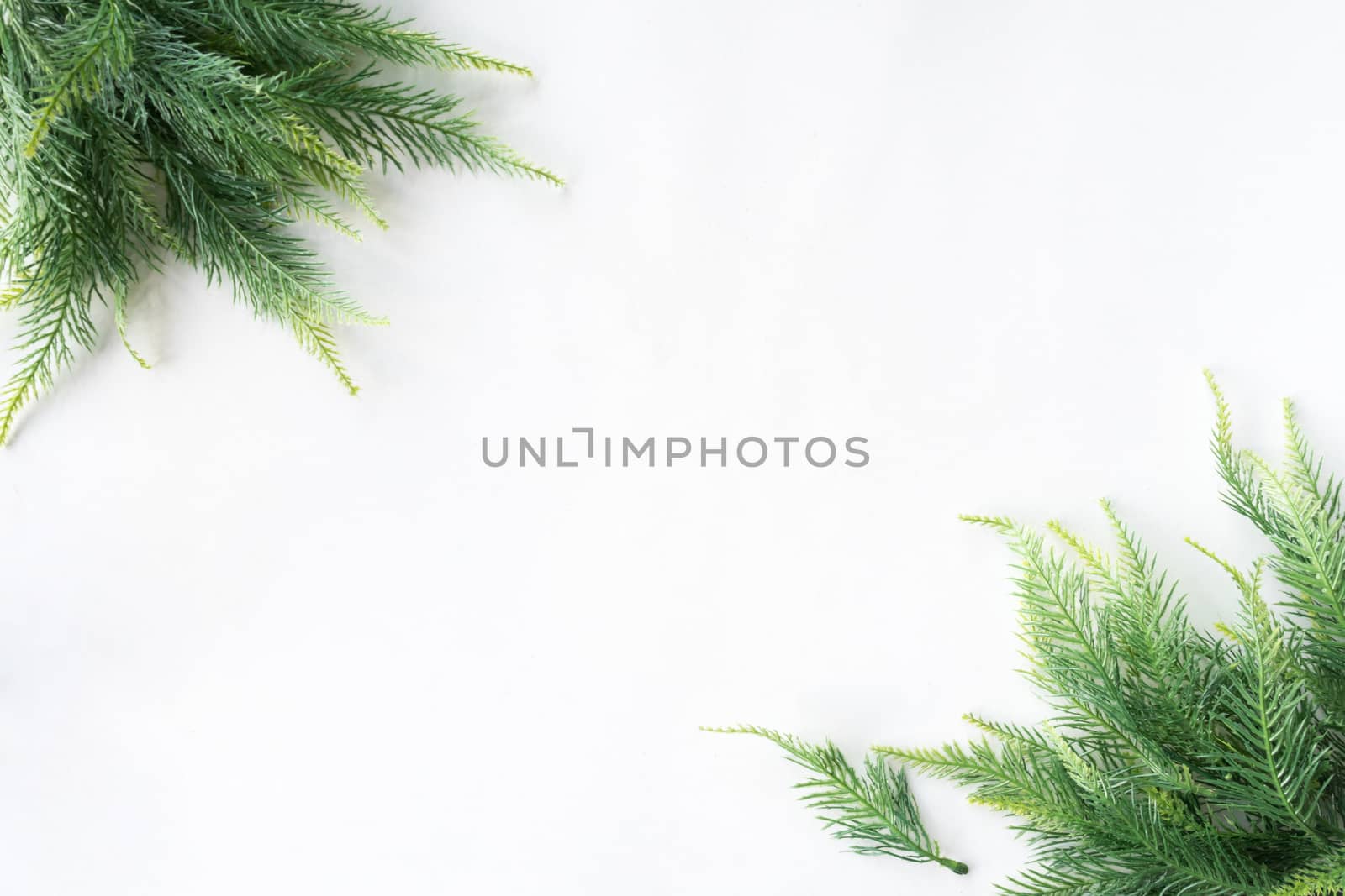 Christmas tree on a white background, free space for text