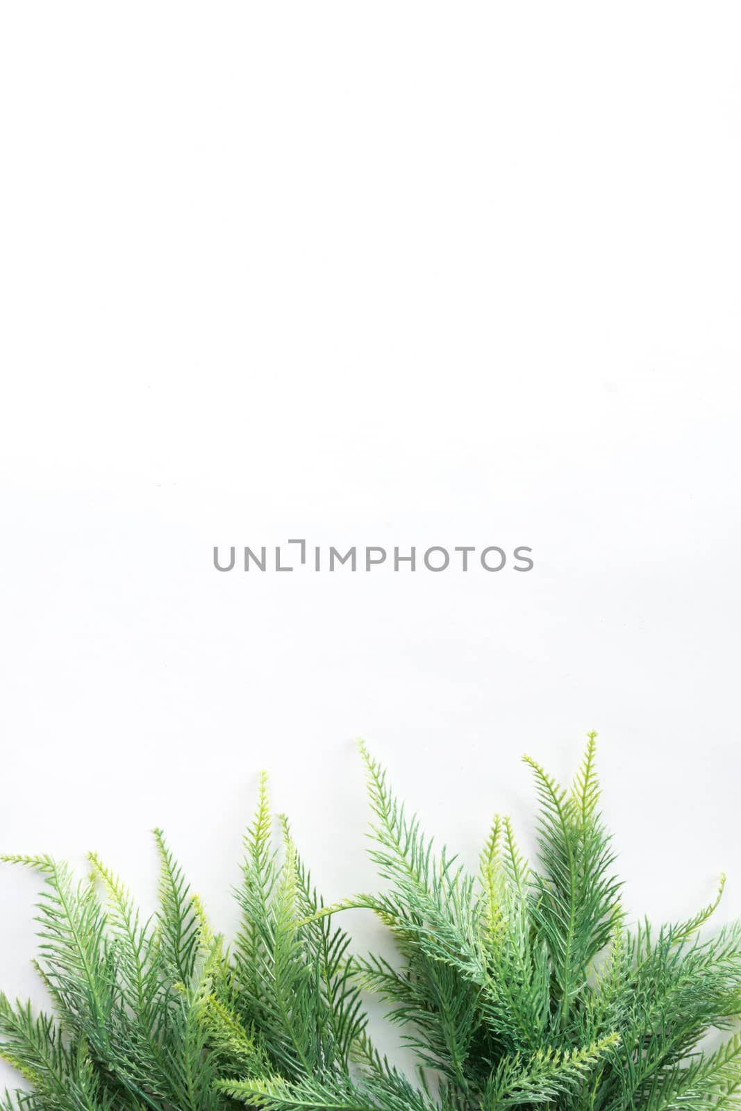 Christmas tree on a white background, free space for text by ronnarong