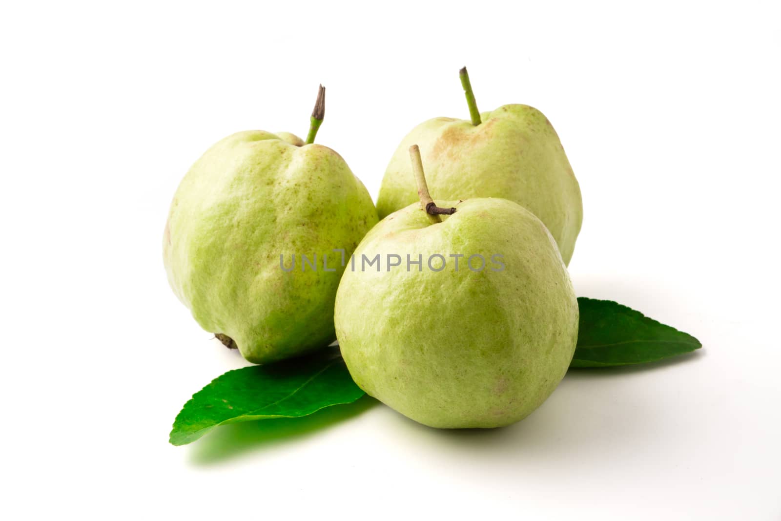 Fresh guava fruit on a white background.