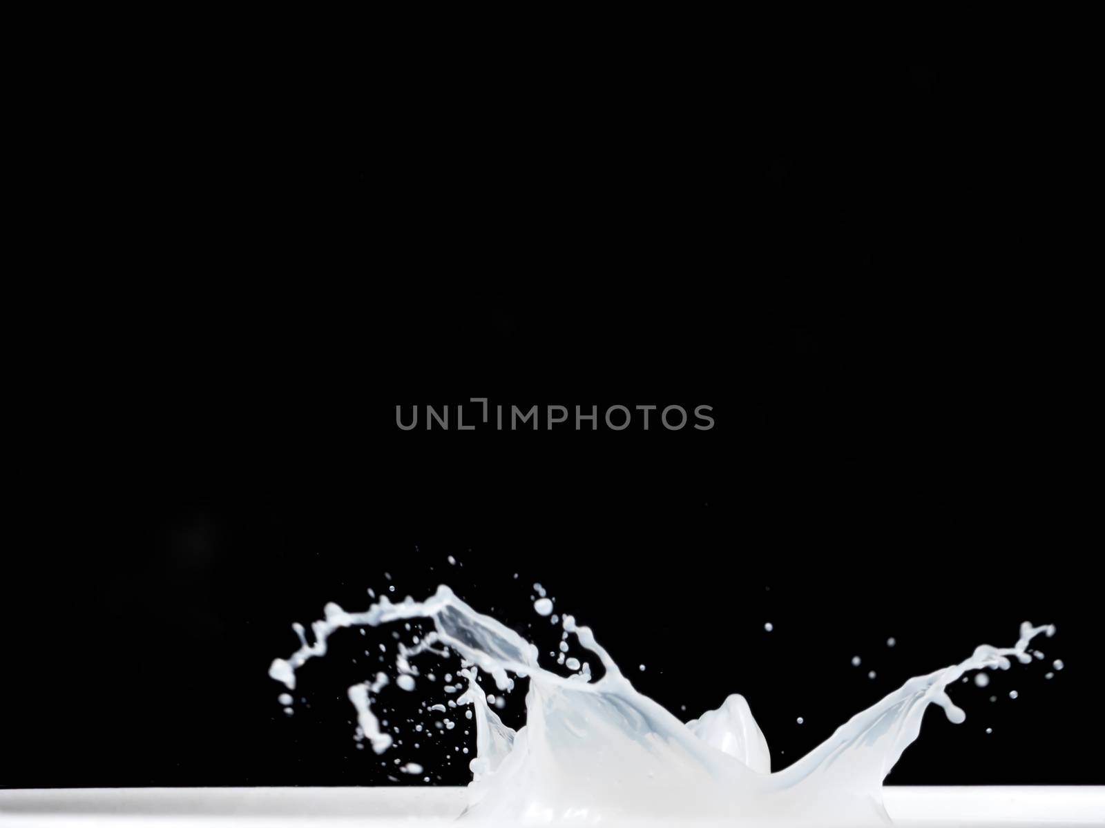 Milk Splash on black background.