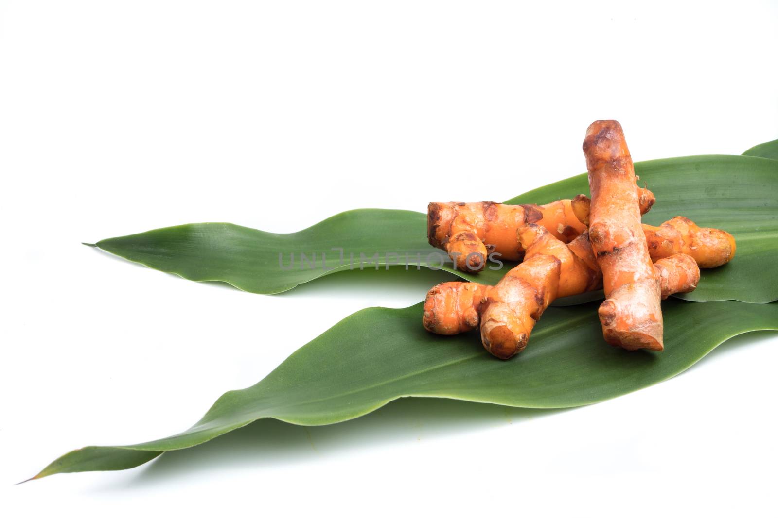 Turmeric roots on green leaf over white background.