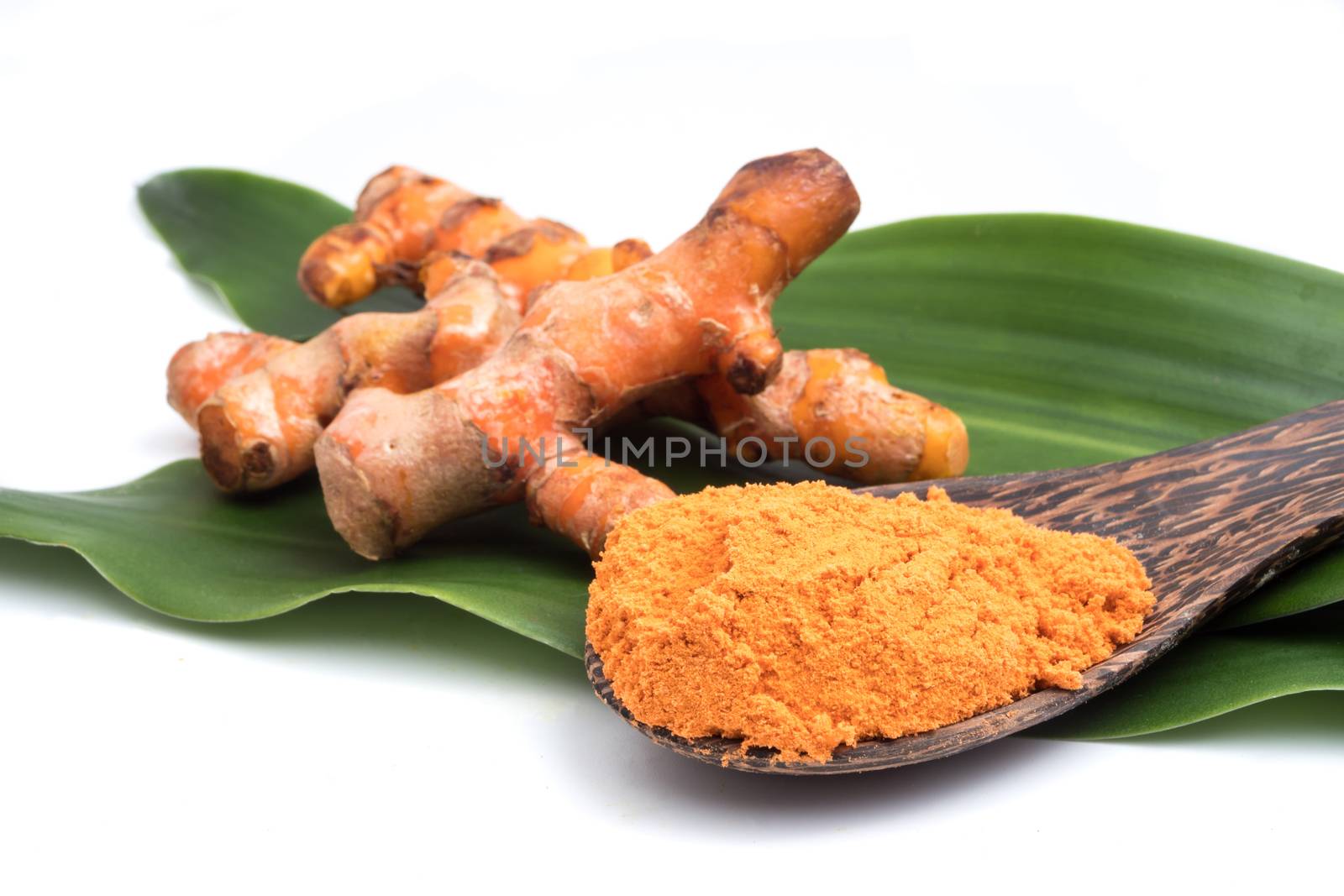 Turmeric roots with turmeric powder on green leaf over white background.