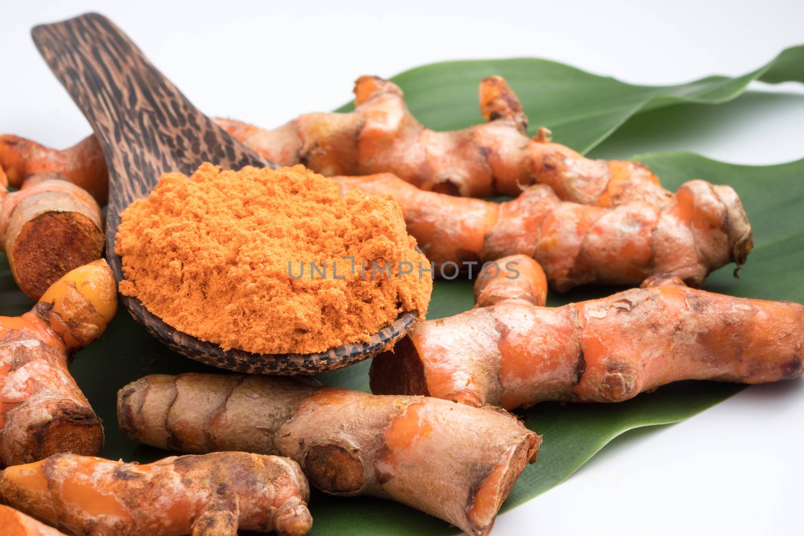 Turmeric roots with turmeric powder on green leaf over white background.