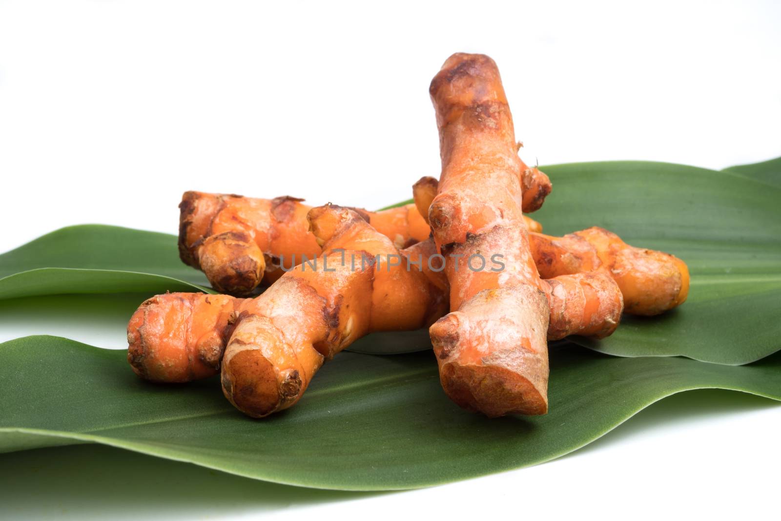 Turmeric roots on green leaf over white background.
