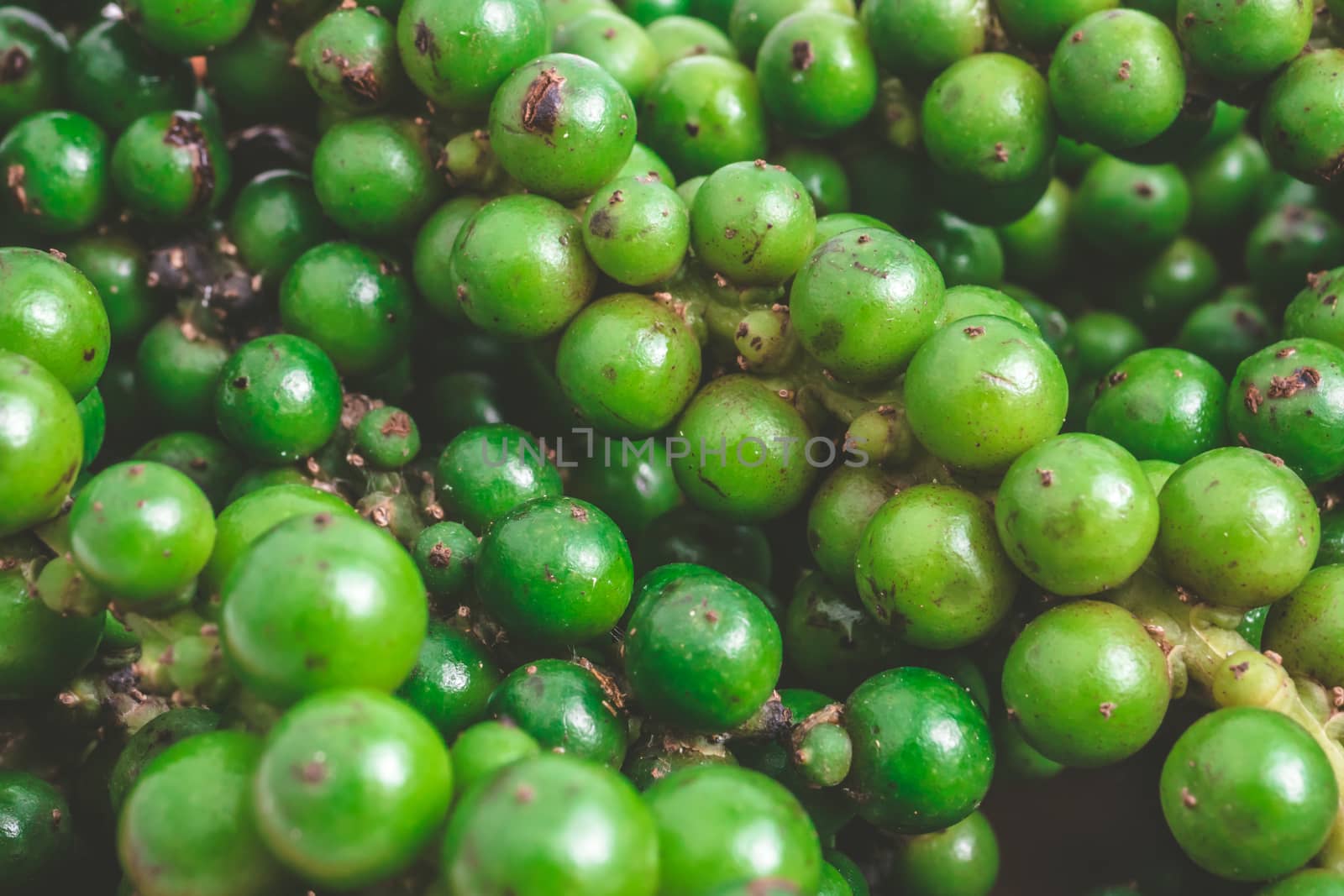 Close up of Green peppercorns. by ronnarong