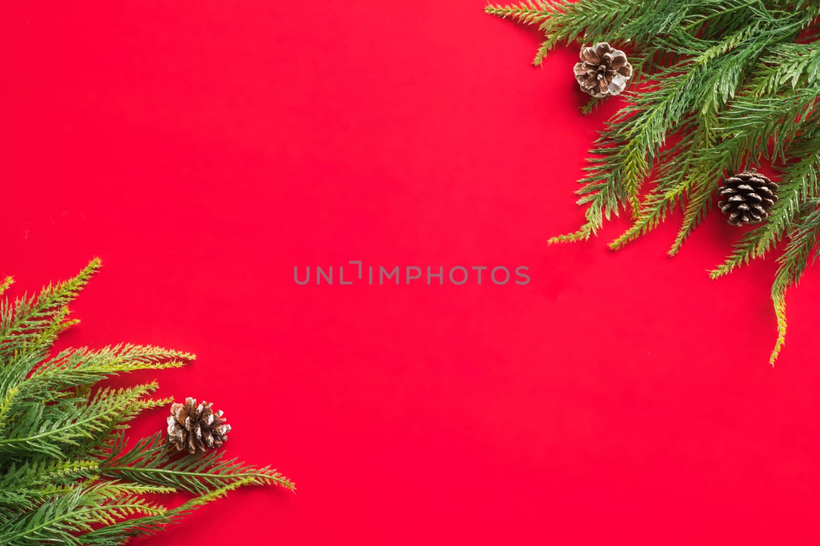 Christmas tree branches on red background. Free space for text by ronnarong