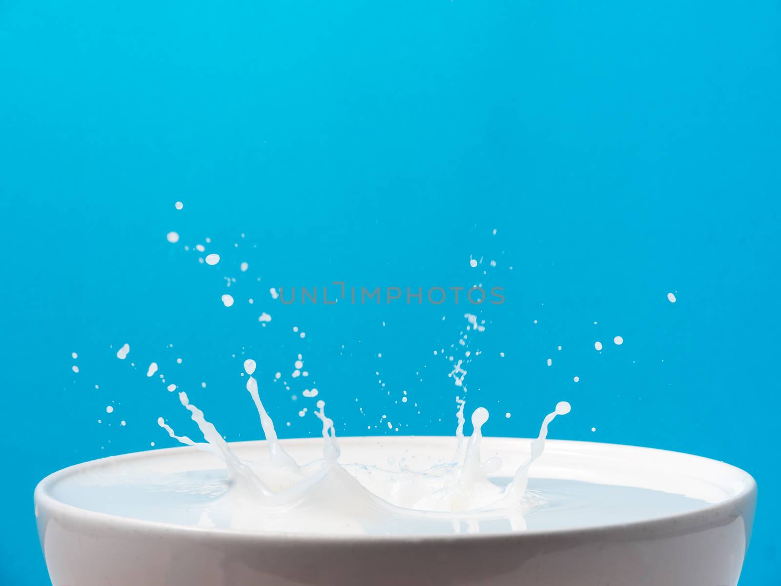 Splash of milk from a cup on blue background. by ronnarong