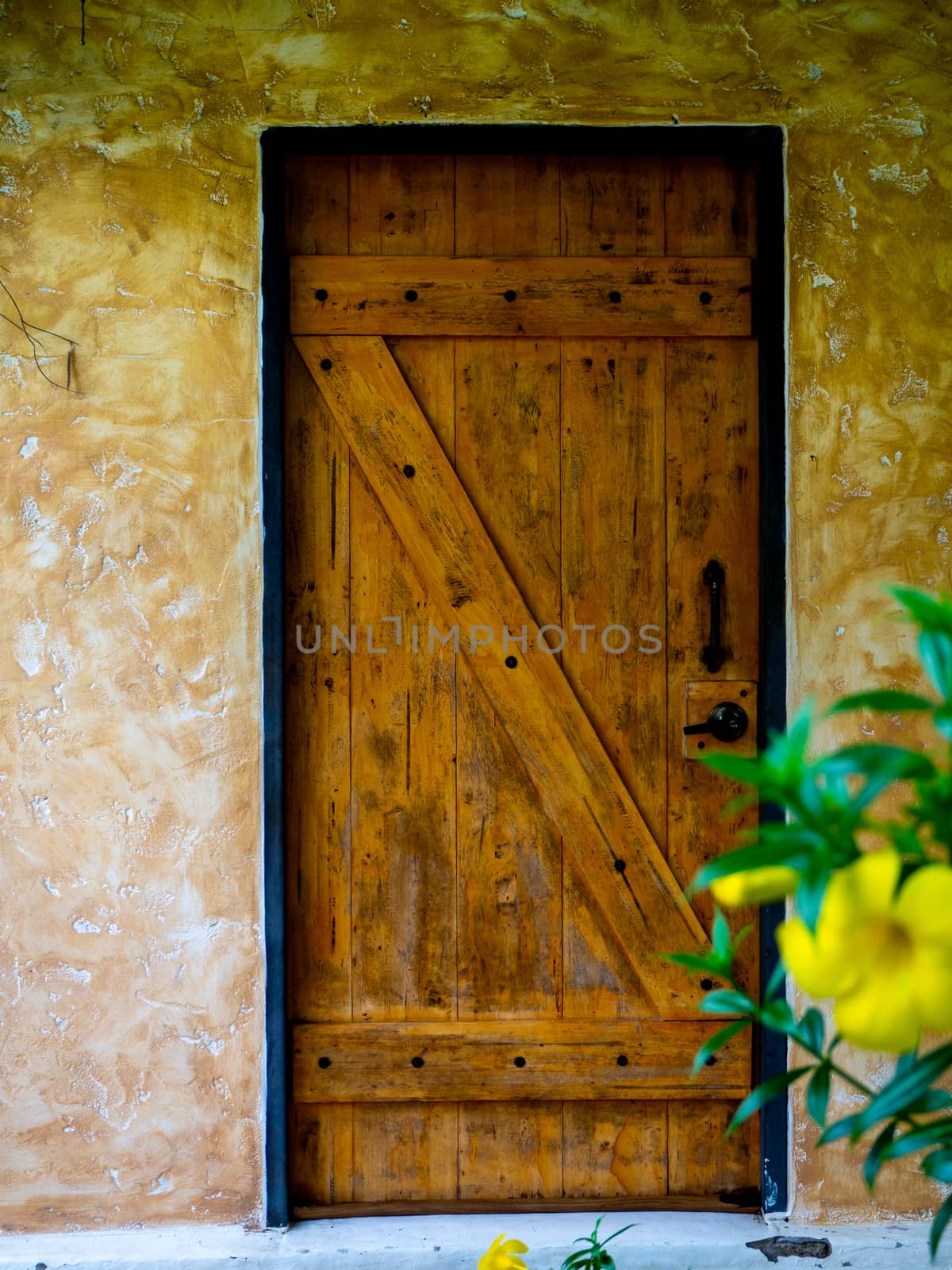 New brown wooden door in house interior by shutterbird