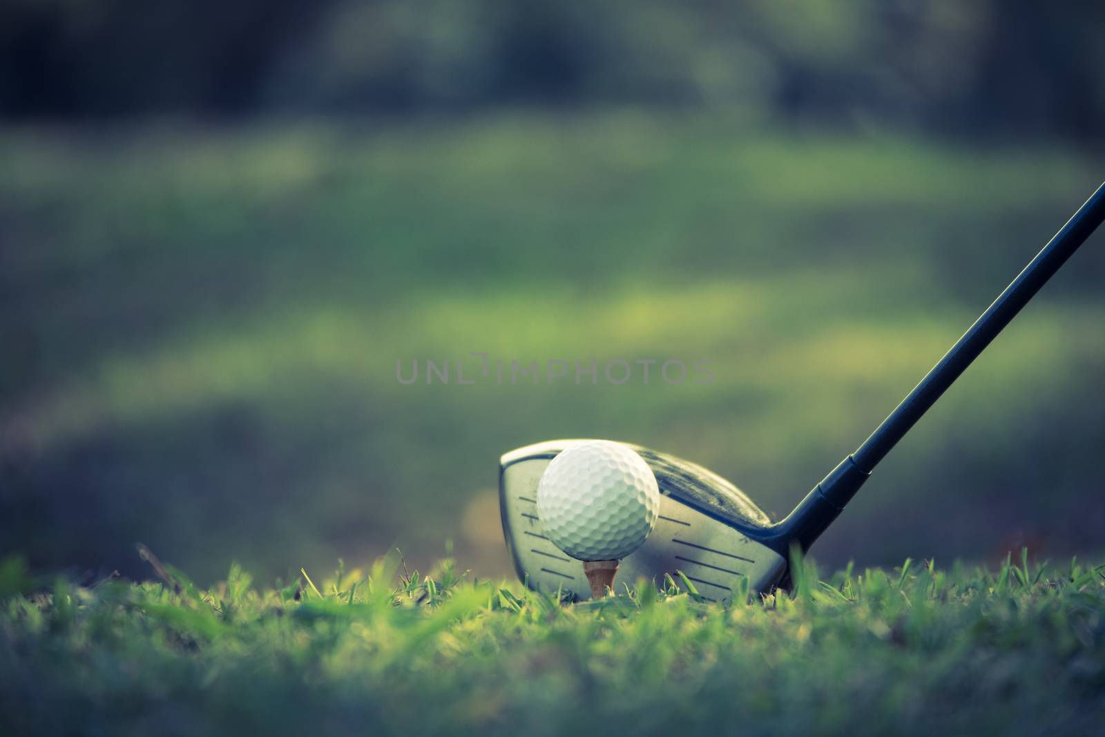 Close up of golf ball on a tee with golf club on the fairway. by ronnarong