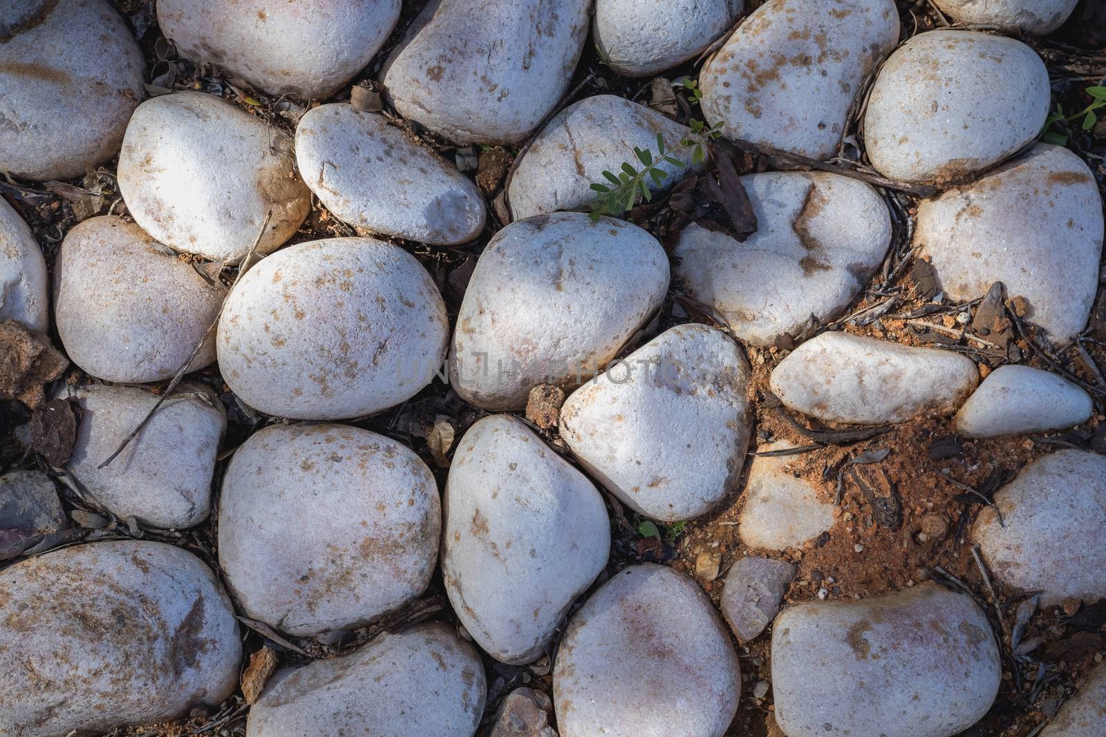 gray beach pebble in the ground in garden by AtlanticEUROSTOXX