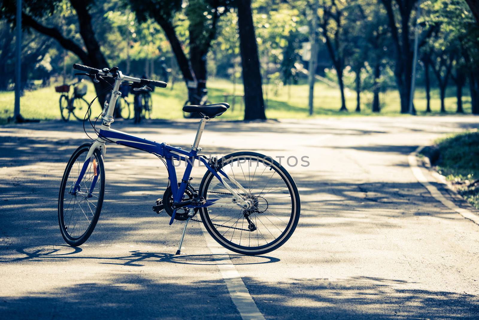 The bicycle standing on bike lane in a park. by ronnarong