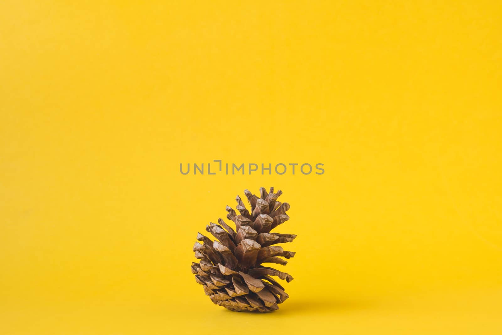 Pine cone on yellow background, Christmas decoration. by ronnarong