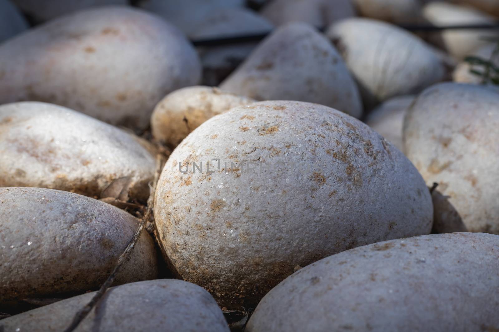 close-up of gray beach pebbles in the earth as decoration of a garden