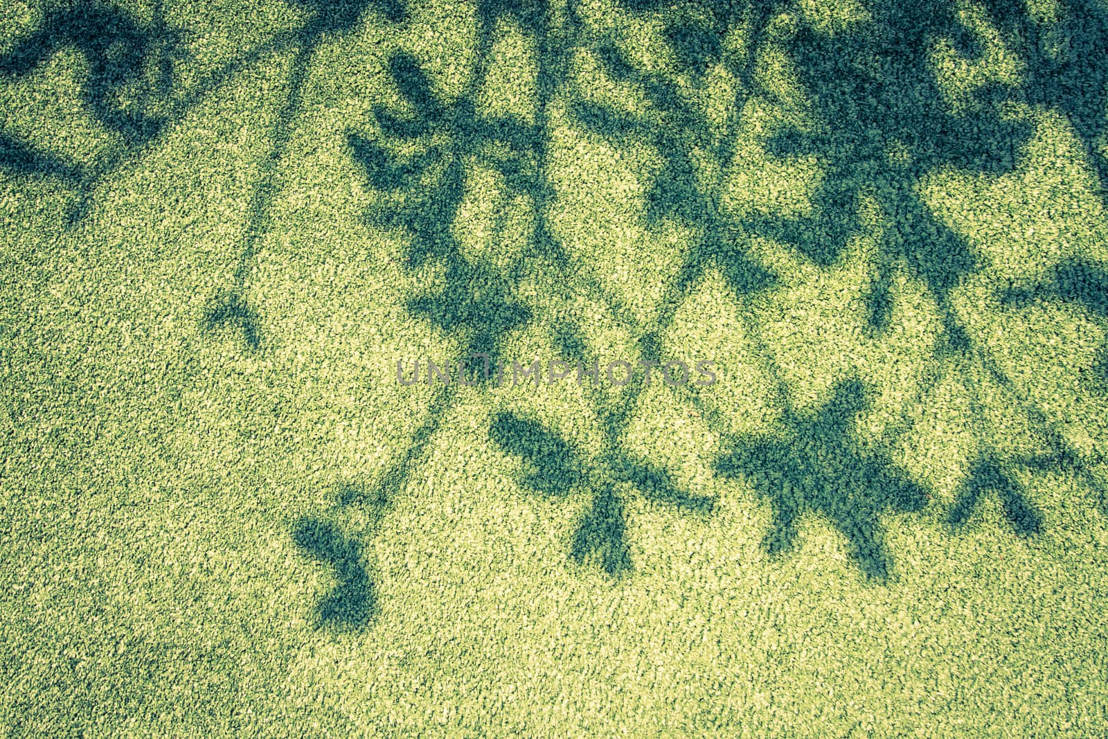  shadow of  tree on grass ground. Vintage filter. by ronnarong