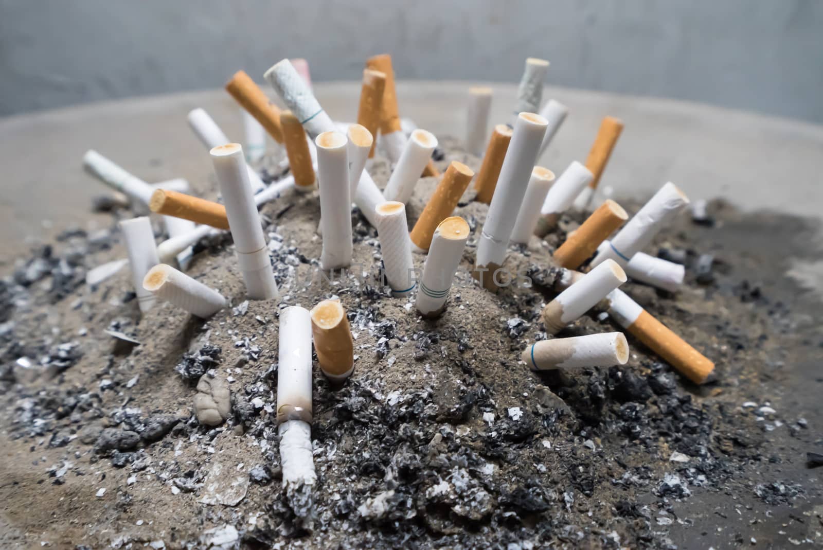 Smoked Cigarettes Butts in sand ashtray bin.Selective focus