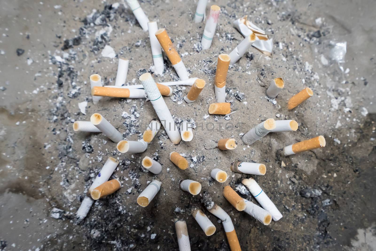 Smoked Cigarettes Butts in sand ashtray bin.Selective focus by ronnarong