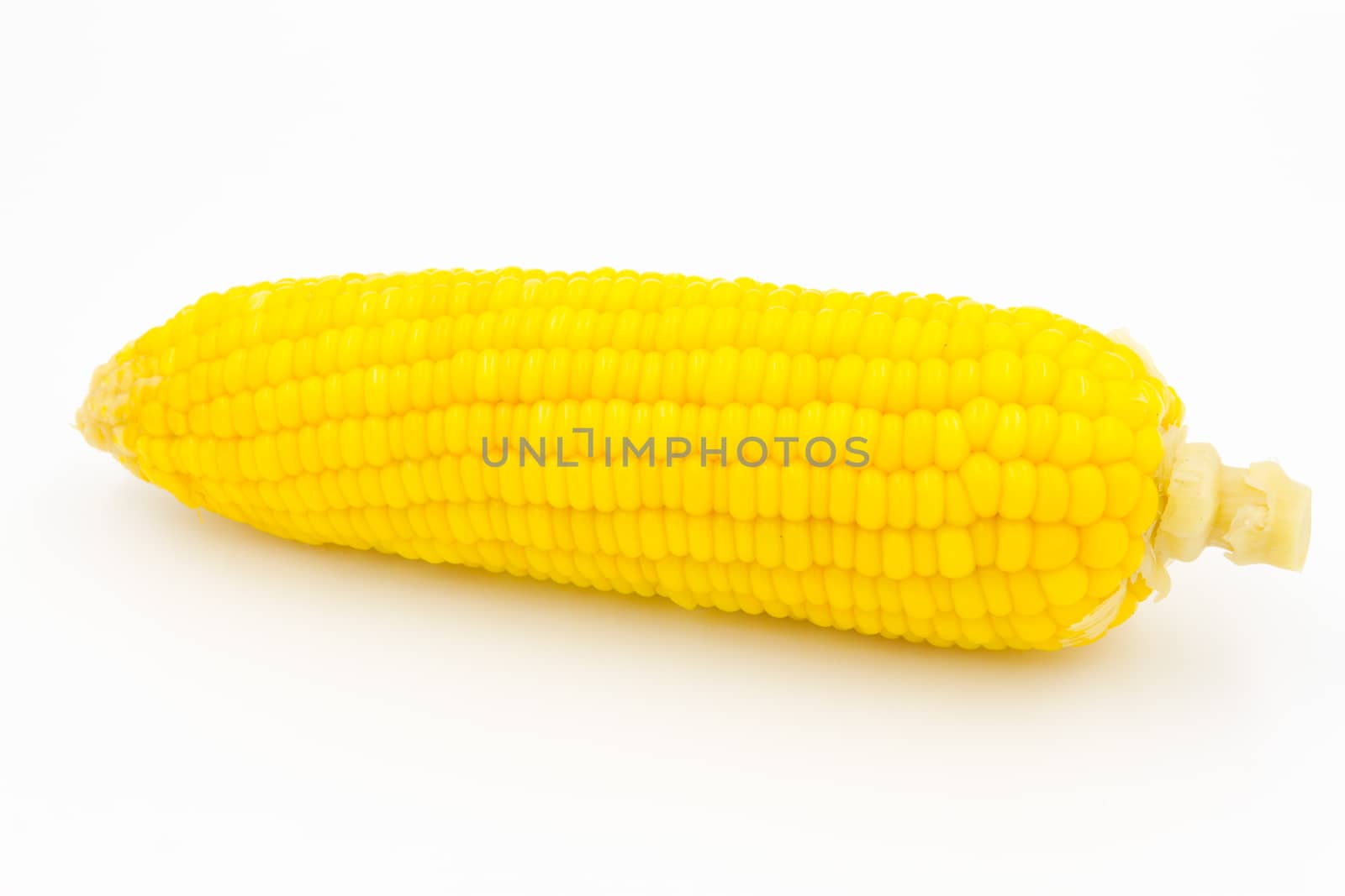 Boiled corn on white background