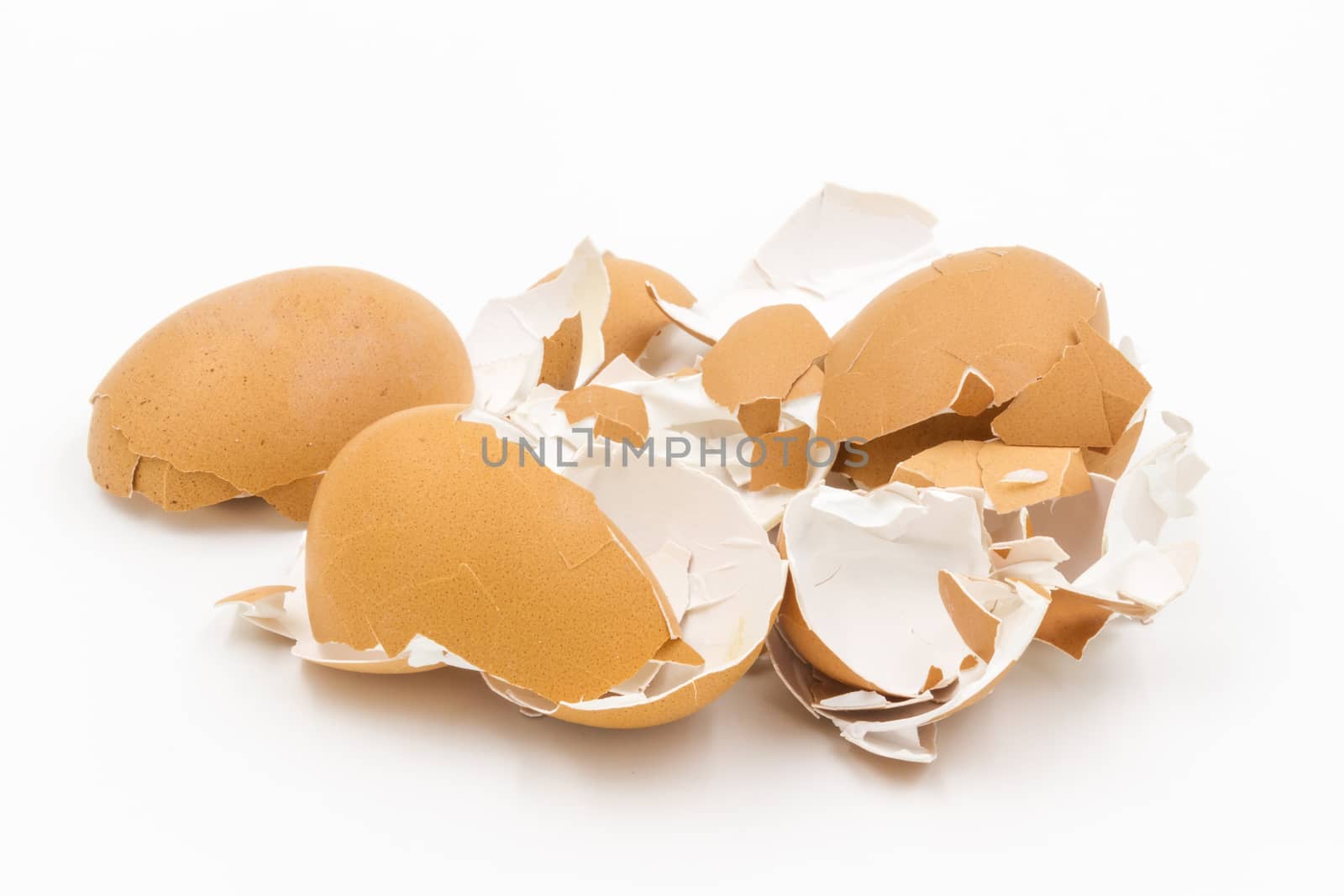 Eggs shell on white background by ronnarong