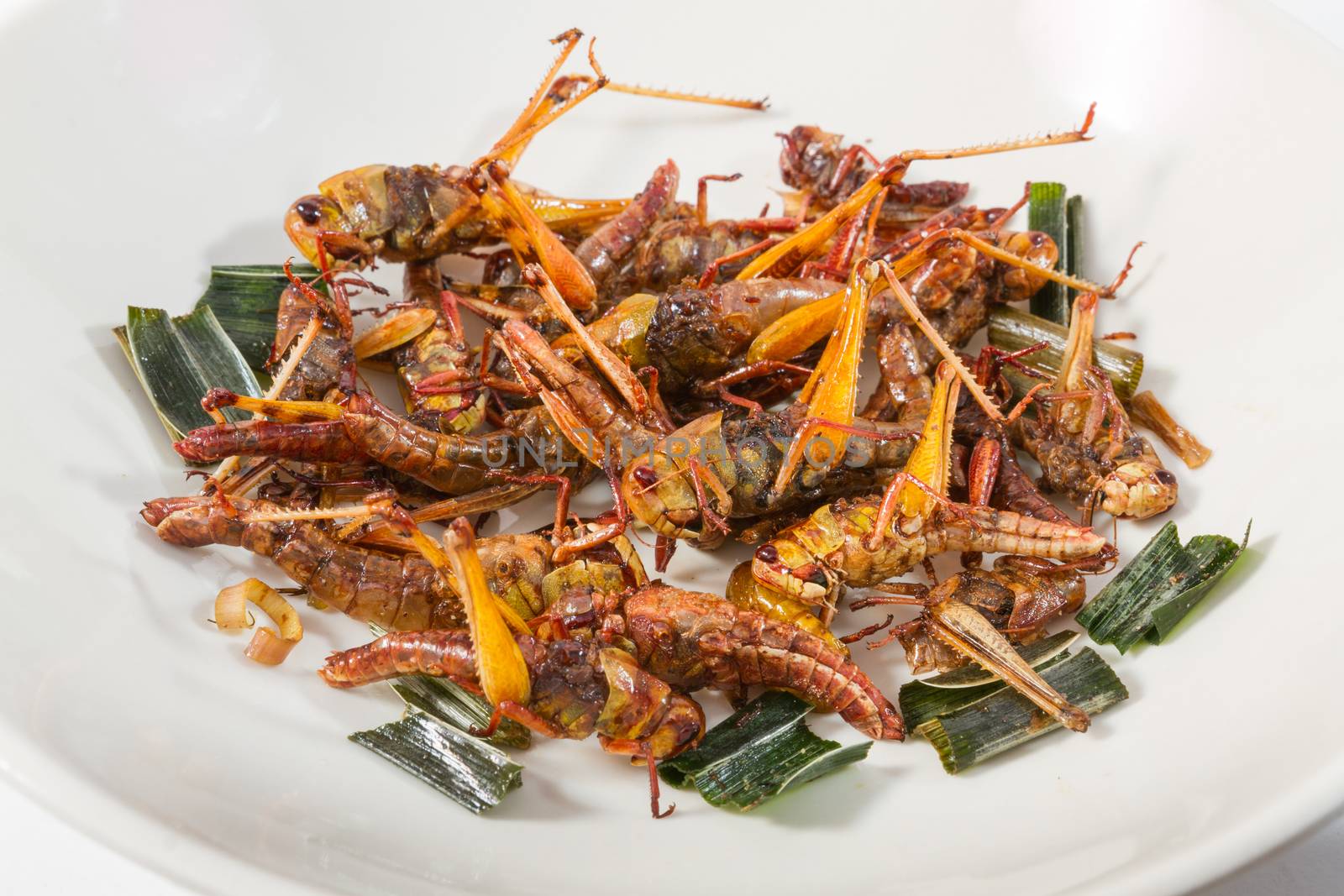 Fried insects. Protein rich food