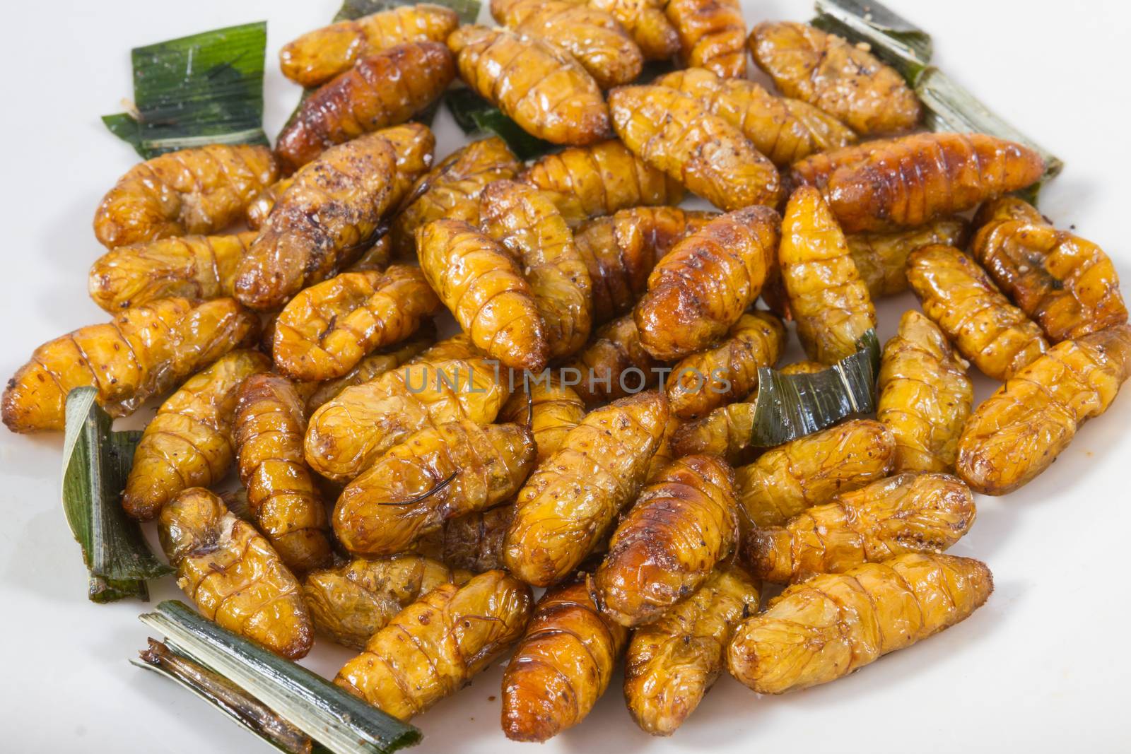 Fried insects. Protein rich food
