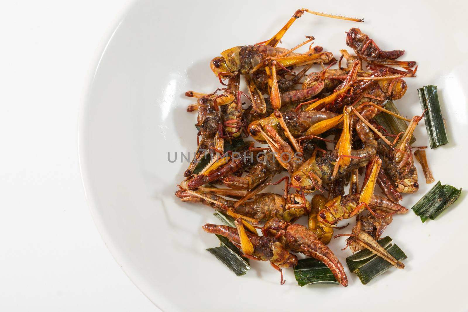 Fried insects. Protein rich food by ronnarong