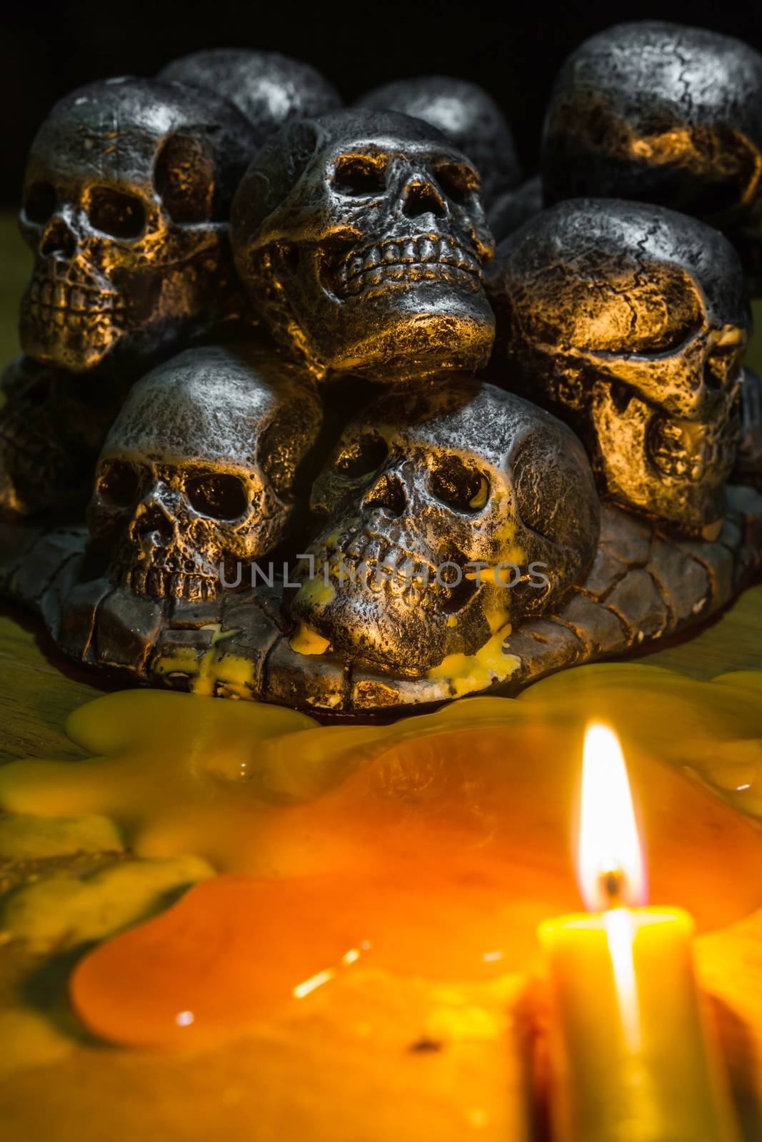 skulls with candle burning on wooden background in the darkness