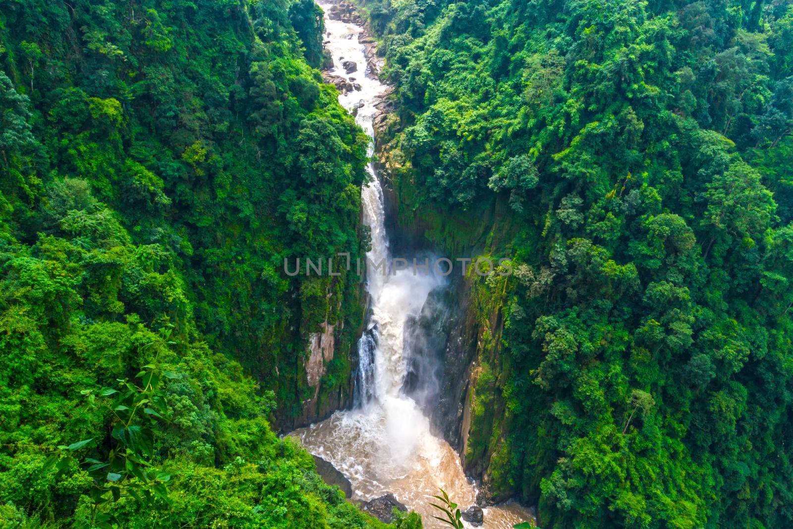 Stunning waterfall and greenery forest by ronnarong