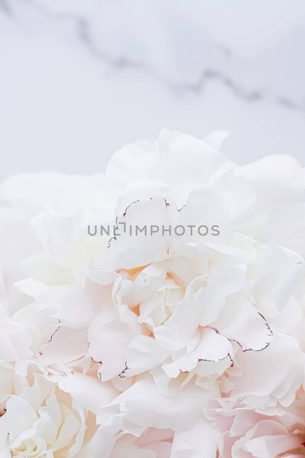 Bouquet of peony flowers as luxury floral background, wedding decoration and event branding by Anneleven