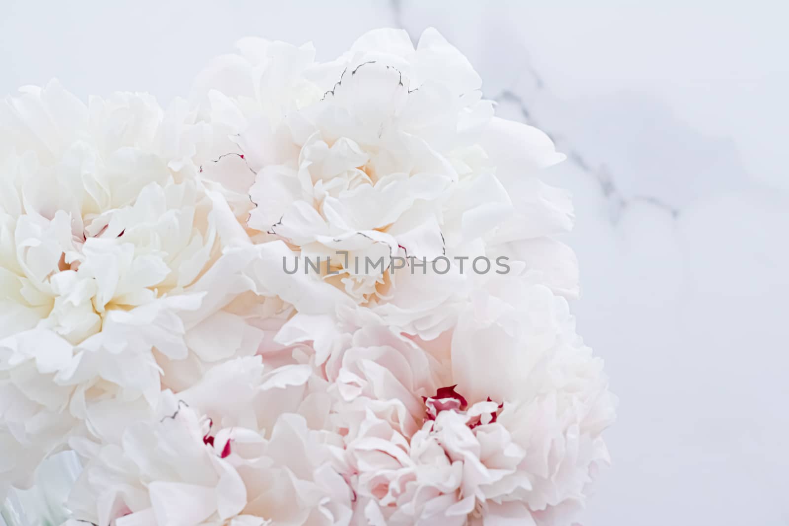 Bouquet of peony flowers as luxury floral background, wedding decoration and event branding by Anneleven
