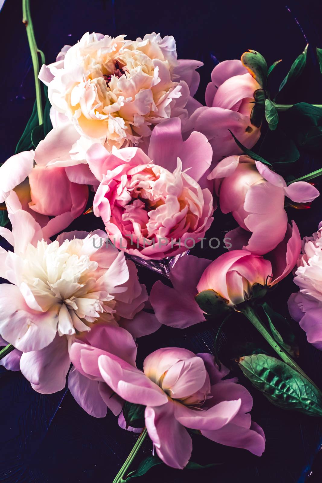 Pink peony flowers as floral art background, botanical flatlay and luxury branding by Anneleven