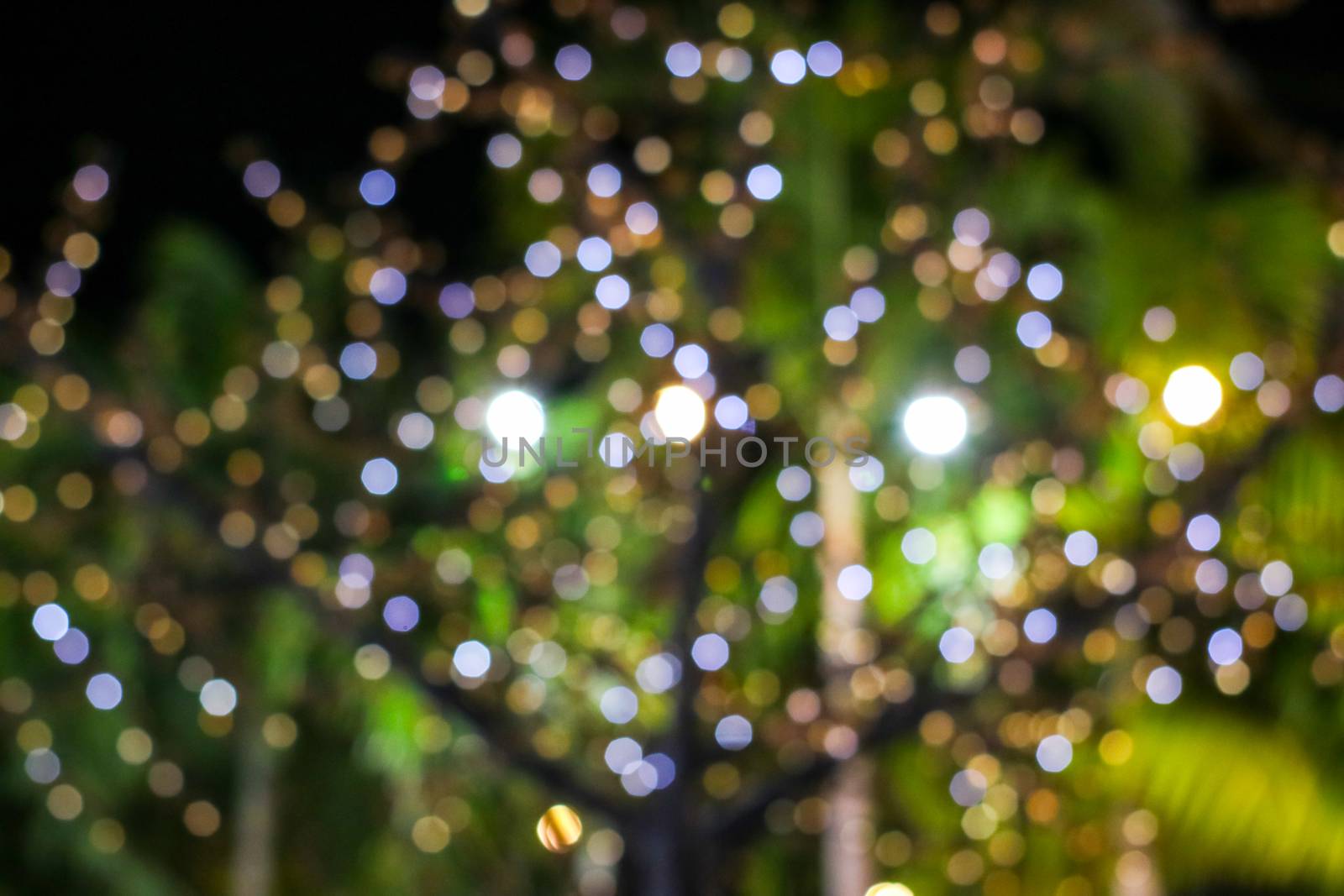 blurred colorful light on tree decorate in the night garden