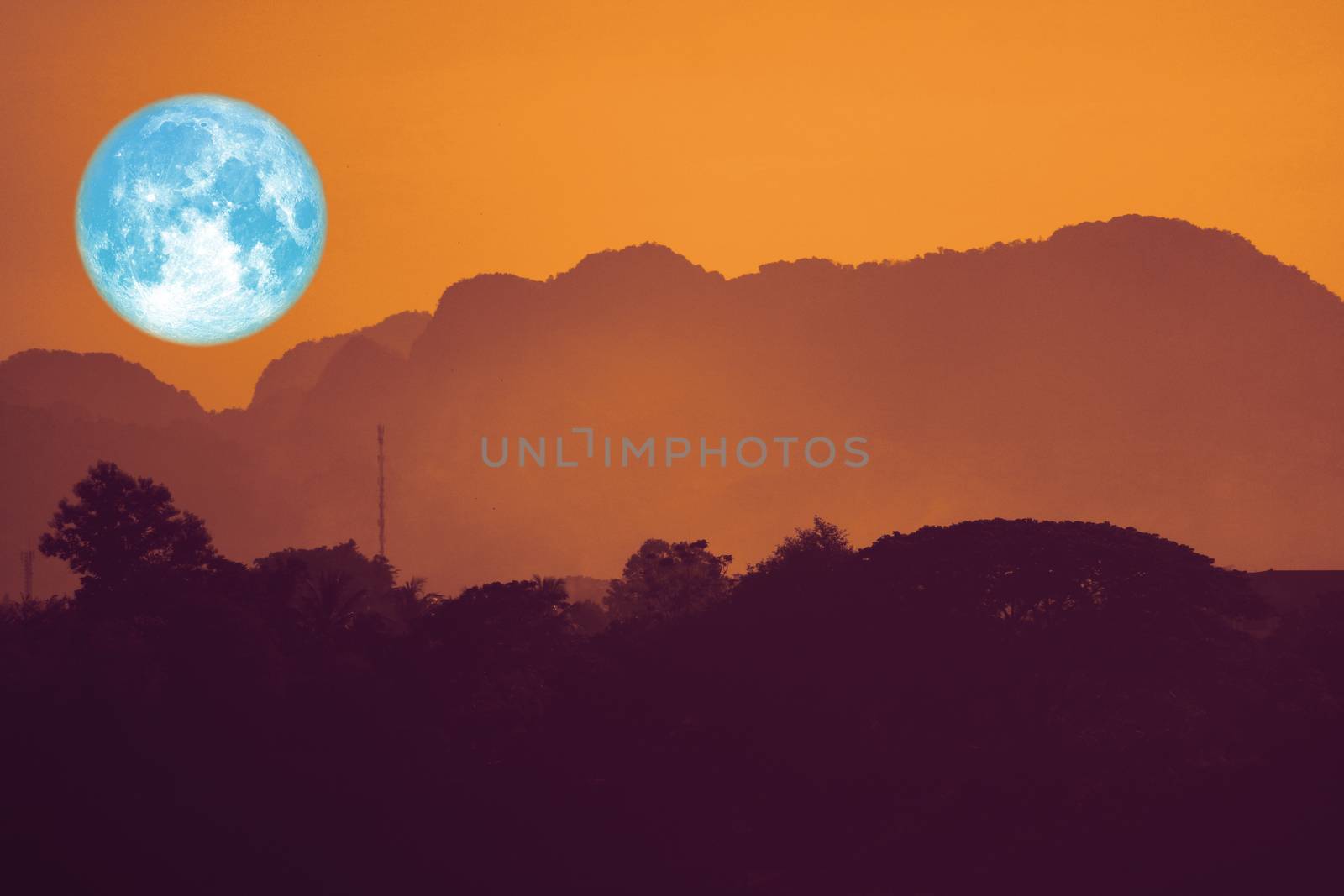 full flower moon back on silhouette plant and trees on night sky, Elements of this image furnished by NASA