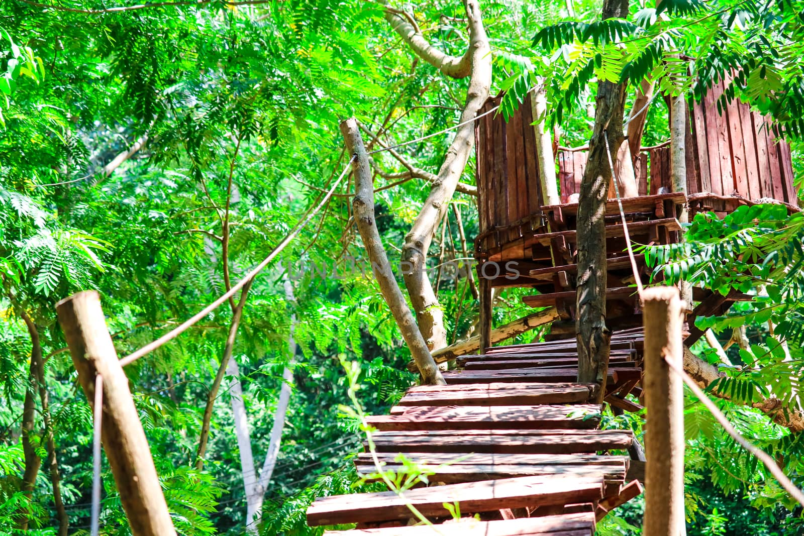 hut wood and bridge log was built in forest for adventure activity of scout