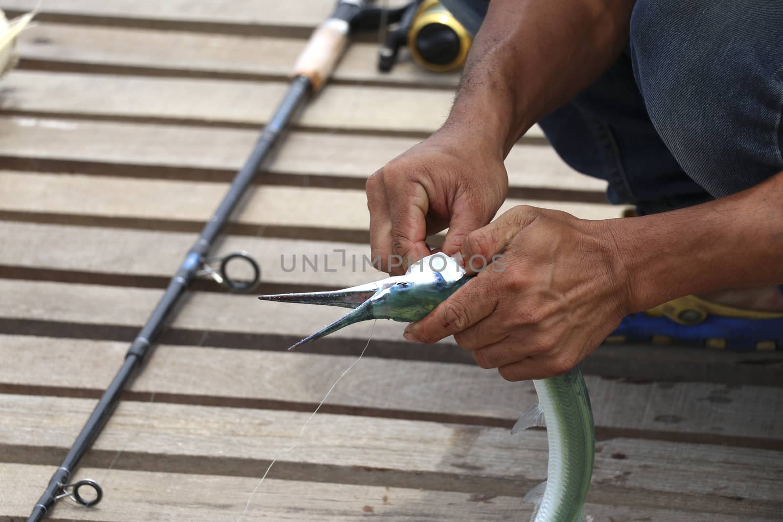 Fishermen are removing the hook from the fish. Fishermen are fishing.