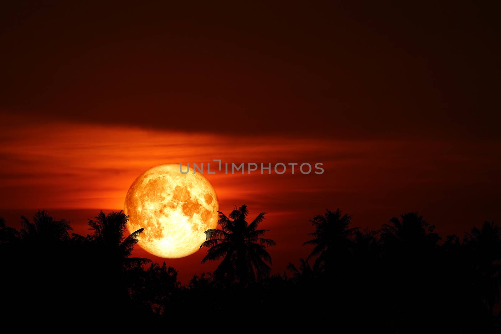 super blood moon back on silhouette coconuts tree on night sky, Elements of this image furnished by NASA