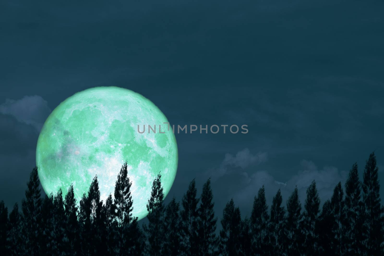 super full egg moon back on silhouette pine on night sky, Elements of this image furnished by NASA