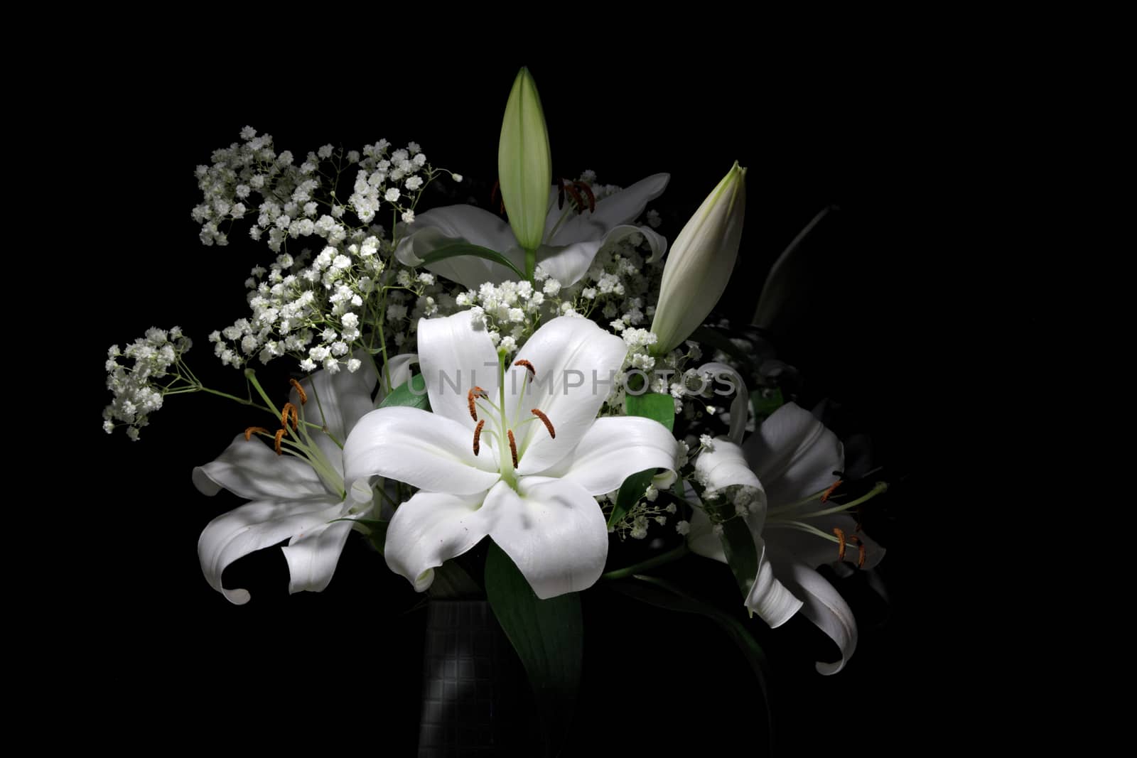 A large bouquet of bright white lilies and Gypsophila Paniculata