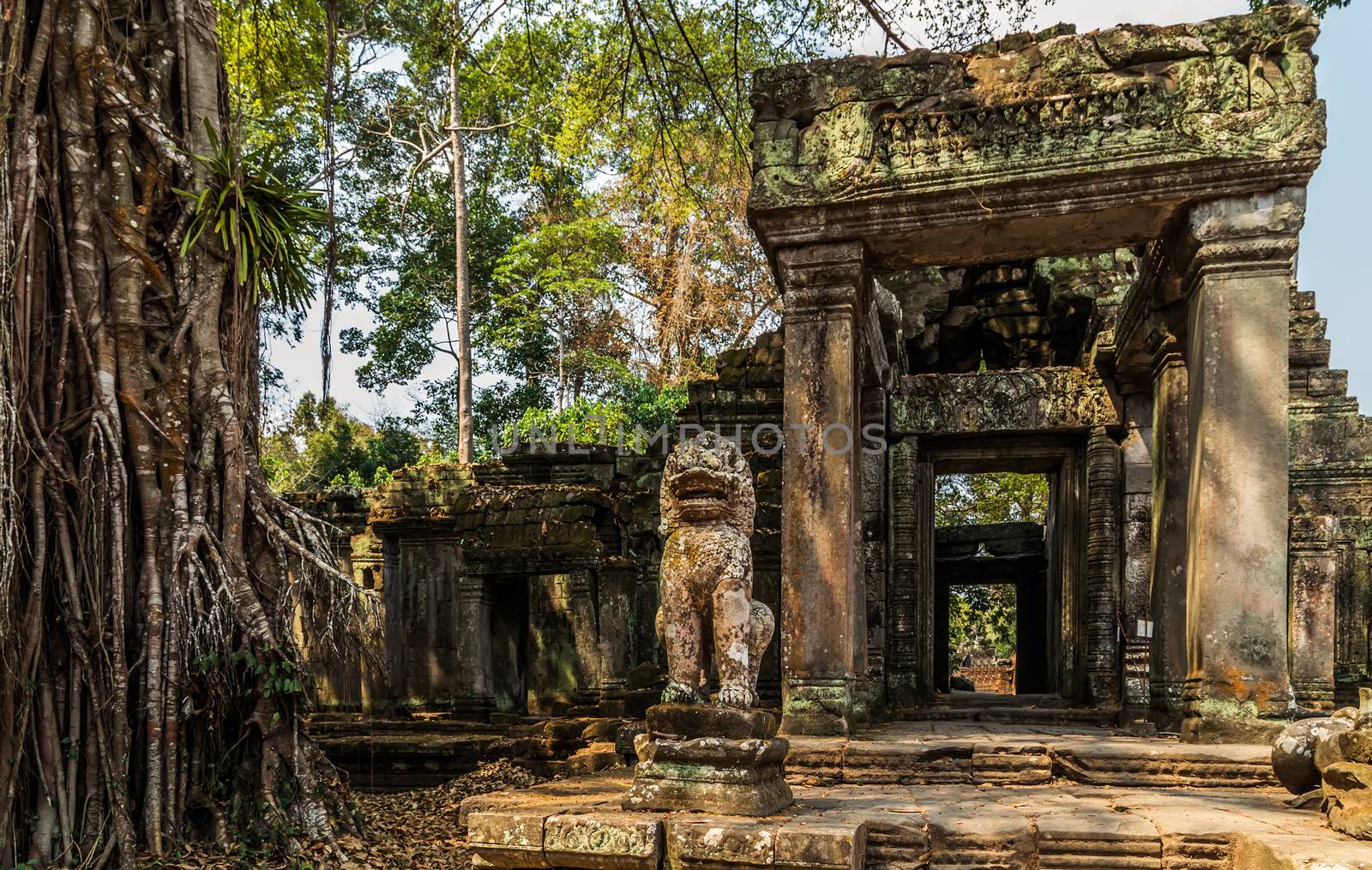 Ancient temple old ruin stone wall of Angkor wat Lost Khmer city in the jungle Siem Reap UNESCO World Heritage Site Cambodia.