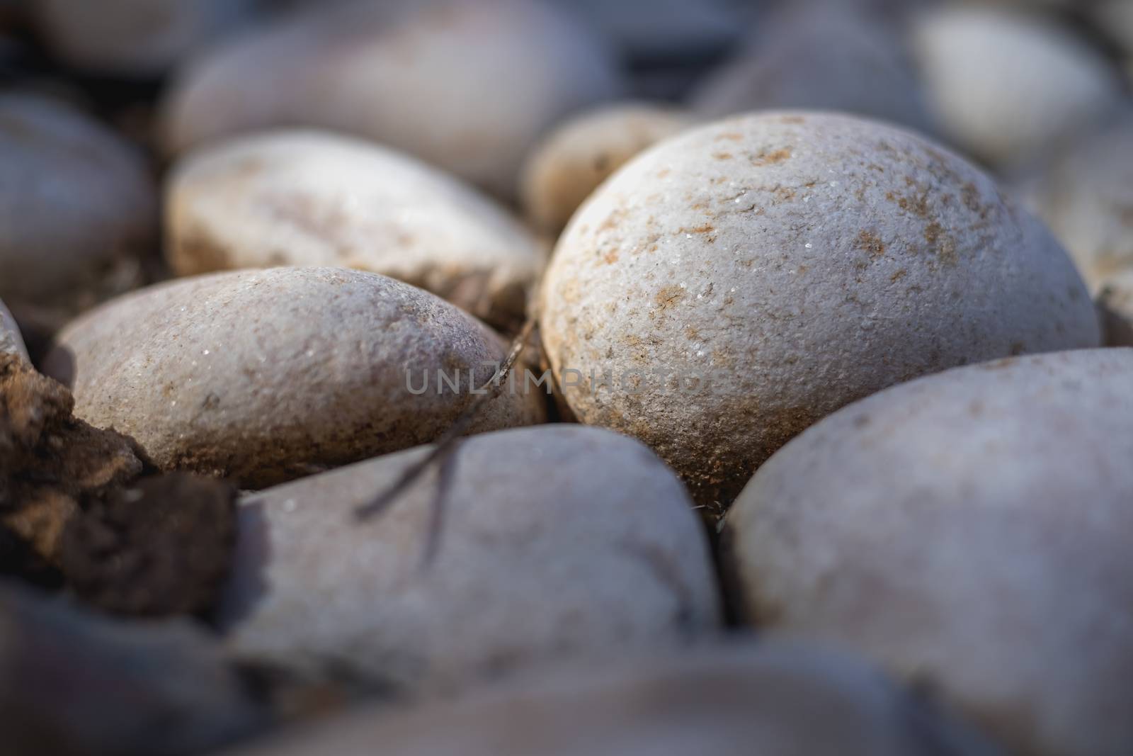 gray beach pebble in the ground in garden by AtlanticEUROSTOXX