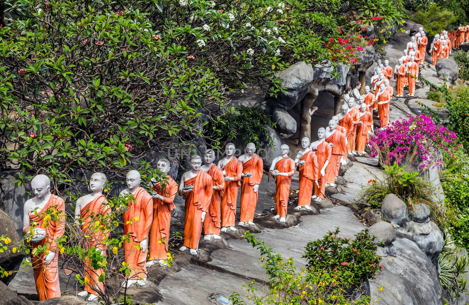 Monk buddhist walking on mountain