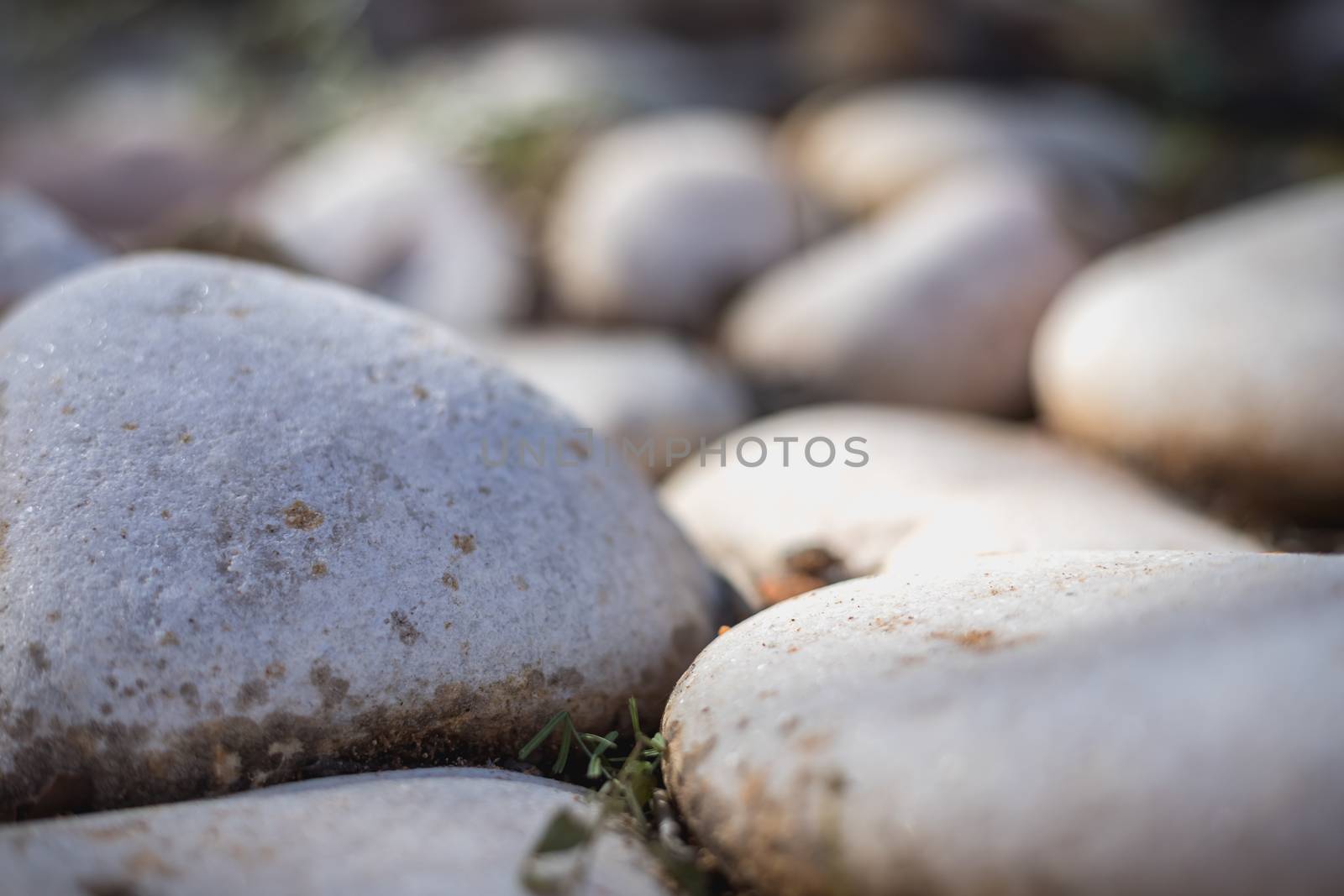 close-up of gray beach pebbles in the earth as decoration of a garden