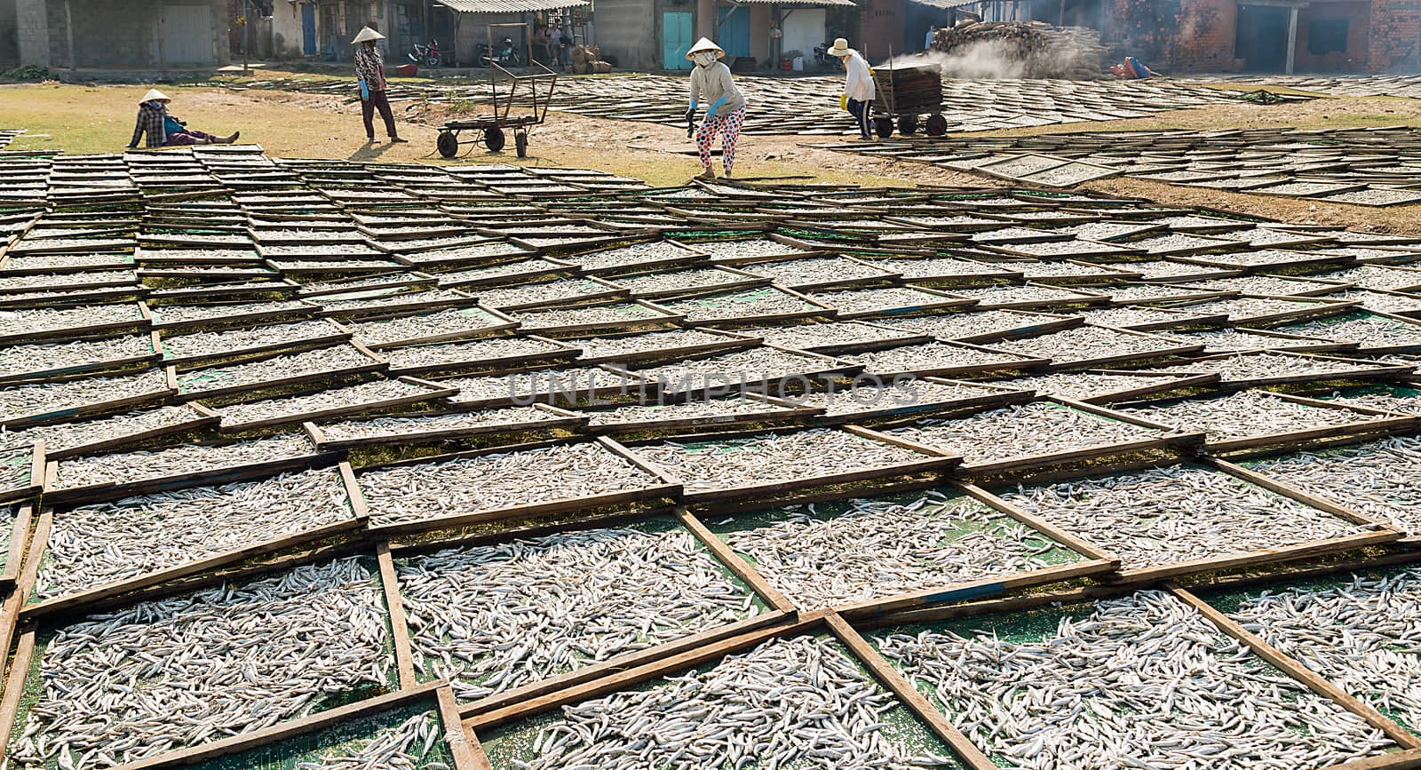 Fermented fish sauce cooking dried fish. Vietnam Mui Ne and Phan Thiet famous for being the home of fish sauce.