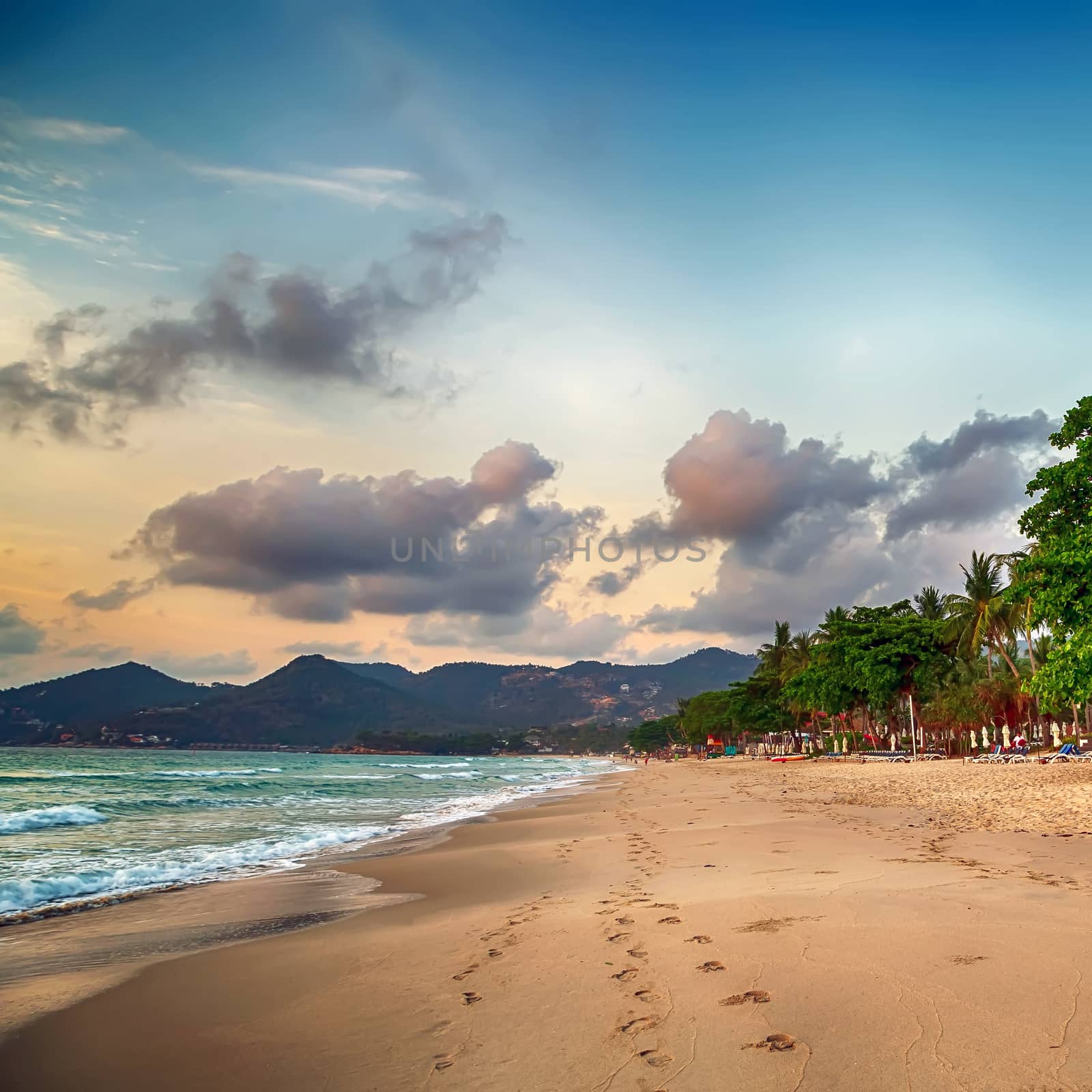 beach at sunset by Vladyslav