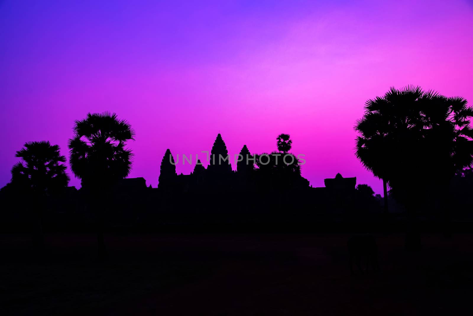 Panorama Mist sunrise tropical morning violet mauve colorful sky landscape Palm trees. Famous silhouette of Cambodian ancient temple Angkor wat, Angkor Archaeological Park near Siem Reap in Cambodia.