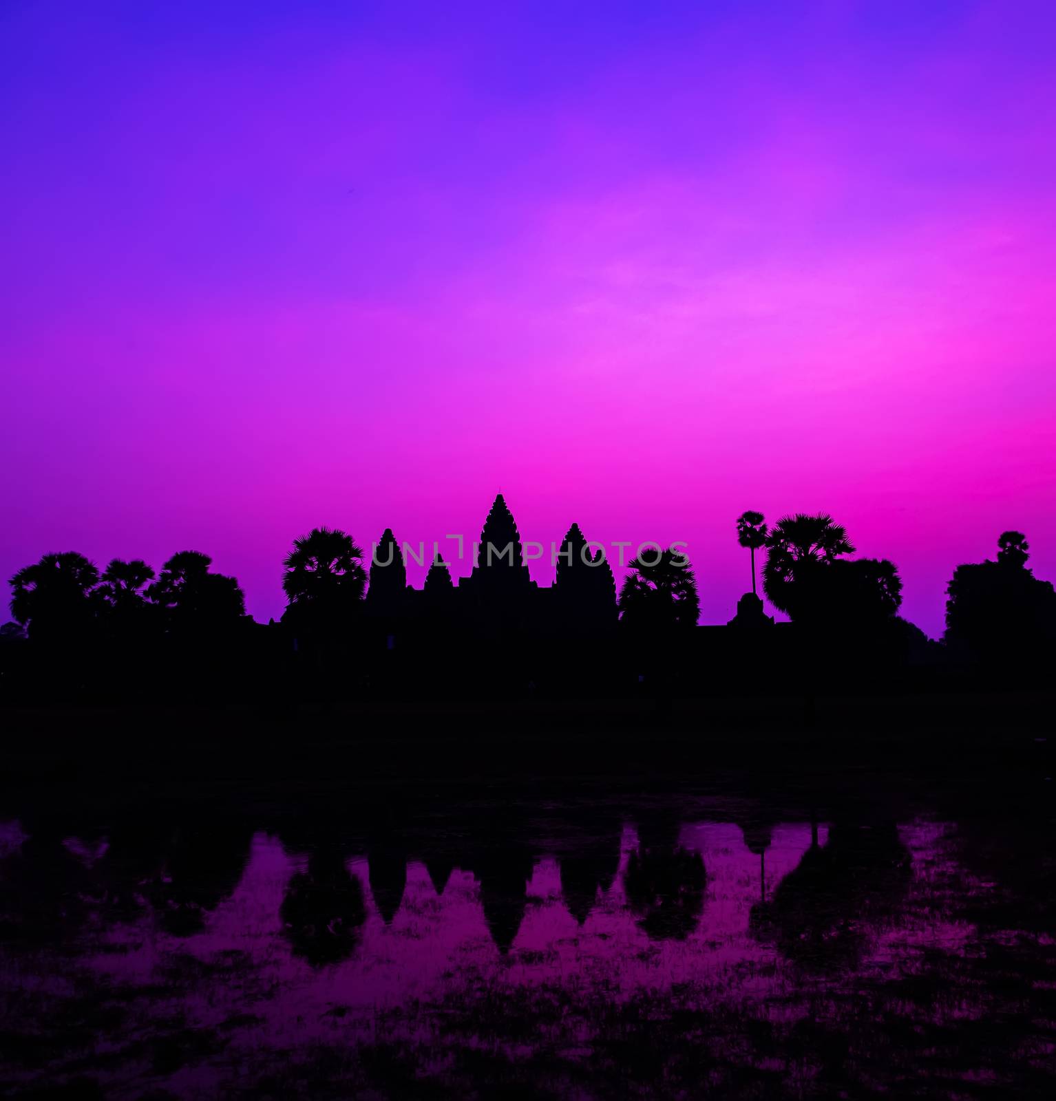 Panorama Palm trees Mist sunrise tropical morning violet facade silhouette Cambodia World famous buildings. Angkor Archaeological Park near Siem Reap in Cambodia