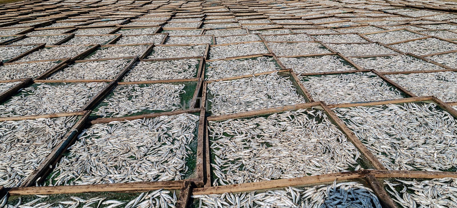 Dried Salted Fish Vietnam Mui Ne and Phan Thiet