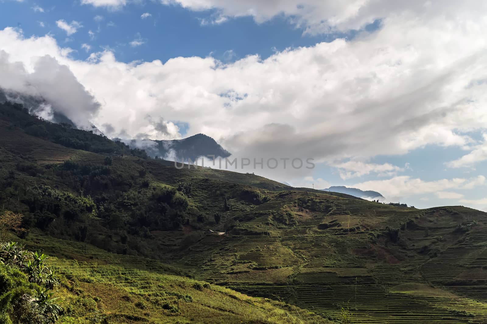Panoramic mountain Misty morning time landscape with a perspective view in the Alps
